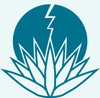 divider img logo